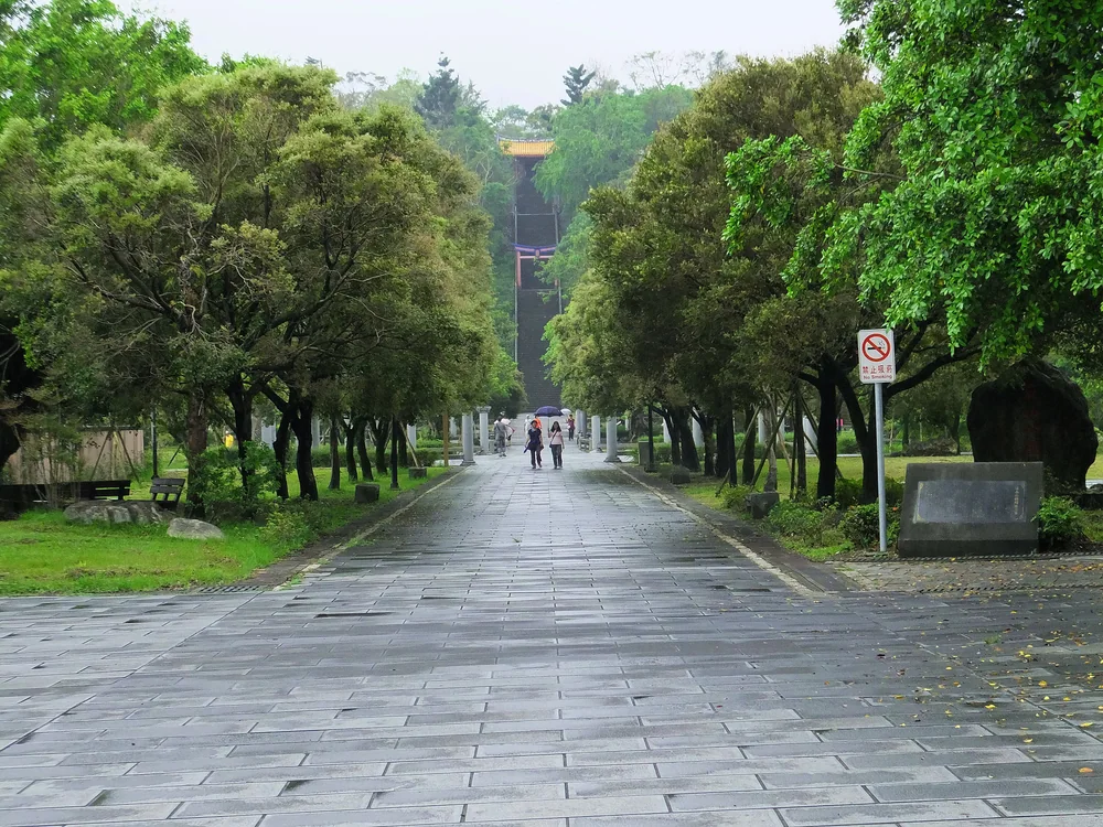 員山公園的草坪與大樹