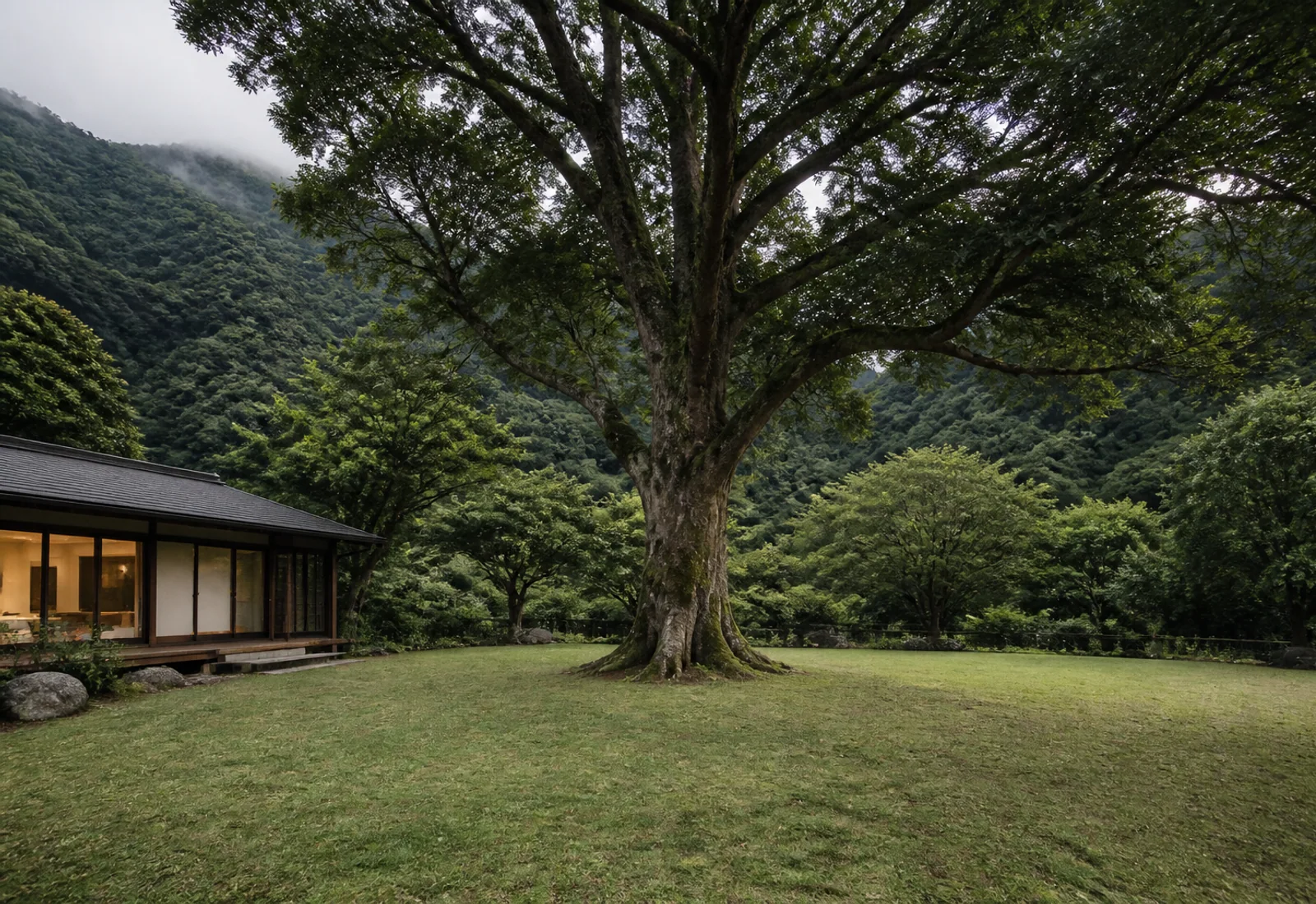霧嶼包棟的庭院草地與老樹